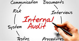 interne audit